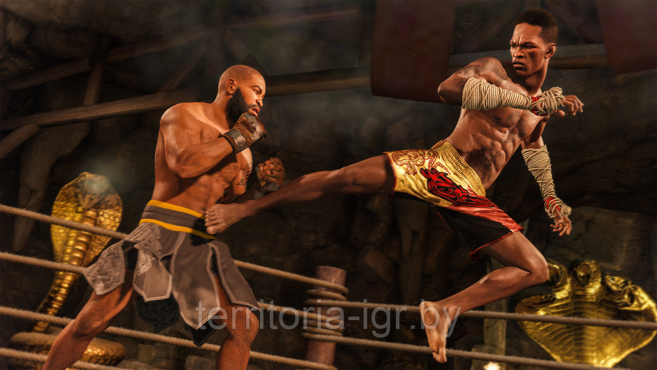 UFC 4 Sony PS4 (Русские субтитры) - фото 5 - id-p129305048