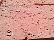 Кирпич рядовой полнотелый одинарный КРО-200 (Керамин), Поштучно, фото 3