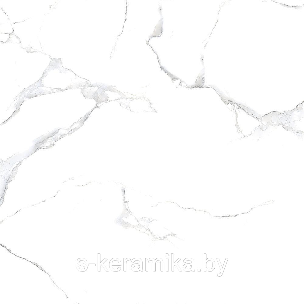 Керамогранит NETTO Plus WHITE MARBLE Polished 60x60cm