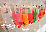 Носки унисекс  цветные, принт 36-41, фото 4