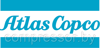Фильтр для компрессора  Atlas Copco 16191613, фото 2