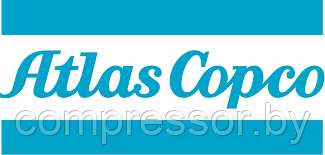Фильтр для компрессора Atlas Copco 2901034300, фото 2