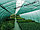 Сетка фасадная затеняющая 2х20/80 40 кв.м. темно-зеленая, фото 2