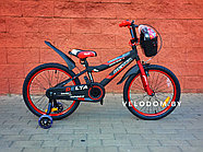 Велосипед детский Delta Sport 20" черный/красный, фото 3