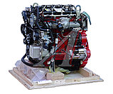Двигатель Cummins 2.8, ISF2.8S3129Т-003, фото 3