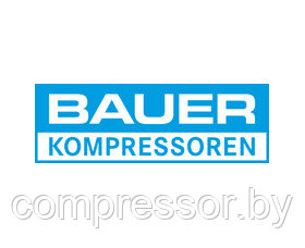 Фильтр для компрессора Bauer N00070 - фото 1 - id-p129653400