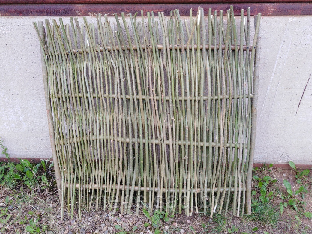 Забор-ограждение из плетеной лозы "Плетень" - фото 2 - id-p129702638