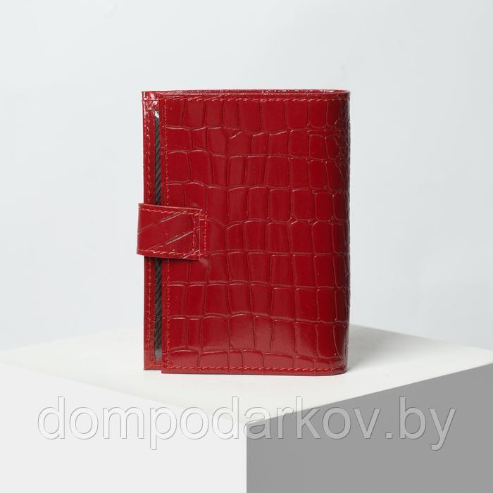 Обложка для автодокументов и паспорта, с хлястиком, отдел для купюр, крокодил, цвет красный - фото 2 - id-p129717557