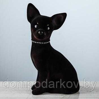 Копилка "Собака Той", флок, чёрный цвет, 29 см