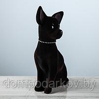Копилка "Собака Той", флок, чёрный цвет, 29 см, фото 2