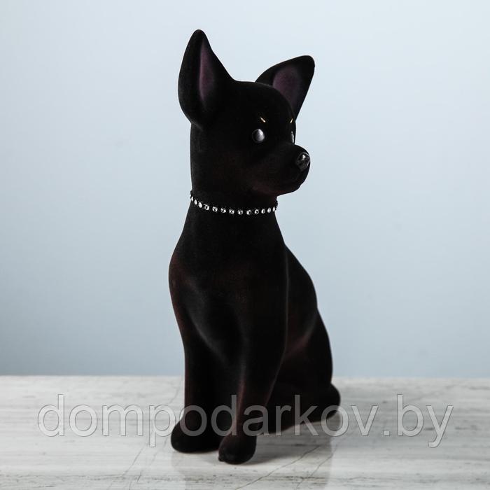 Копилка "Собака Той", флок, чёрный цвет, 29 см - фото 2 - id-p129844877