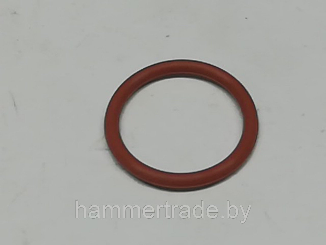 Резиновое кольцо 17мм для HR2450