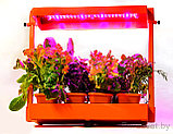 Домашний мини-огород Волтера-Фито Биколор цвет оранжевый, фото 3