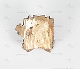 Шильда Белорусский кабан светлый художественное литьё из бронзы, фото 2