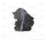 Шильда Белорусский зубр тёмная художественное литьё из бронзы, фото 2
