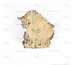 Шильда Белорусский зубр светлый художественное литьё из бронзы, фото 2