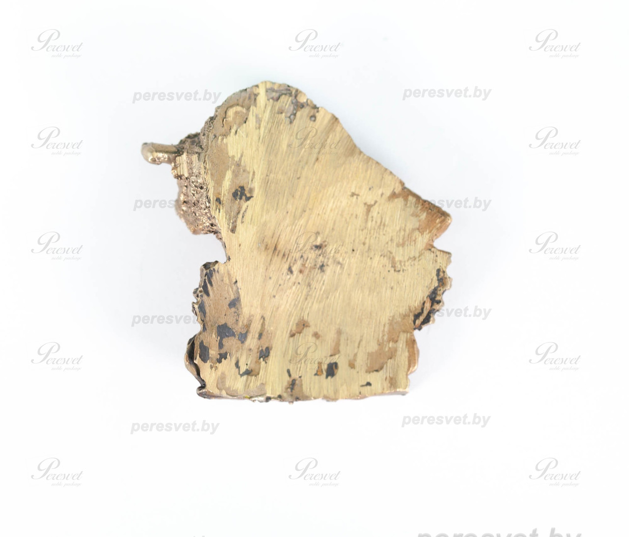 Шильда Белорусский зубр светлый художественное литьё из бронзы - фото 2 - id-p124996667