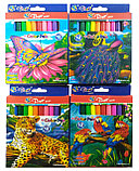 Набор фломастеров 12 цветов, цветной корпус, карт. упаковка с европодвесом , рисунок в ассортименте (4 вида), фото 2