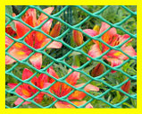 Сетка ПВХ. Пластиковый забор высота 1,6 м. Садовая решетка. Декоративная сетка., фото 3