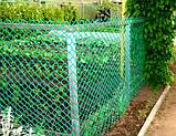 Сетка ПВХ. Пластиковый забор высота 1,6 м. Садовая решетка. Декоративная сетка., фото 4