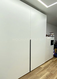Компланарный шкаф по индивидуальным размерам. 