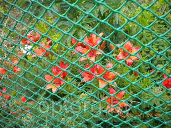 Сетка пластиковая дачная. Садовый забор. Решетка садовая - фото 2 - id-p130042328