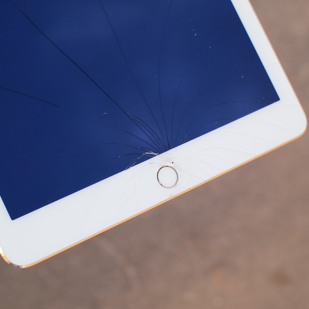 Apple iPad 2019 (7 поколения) - Замена сенсорного экрана (тачскрина, стекла) - фото 2 - id-p130066721