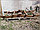Пергола-арка садовая из массива сосны "Малага", фото 9