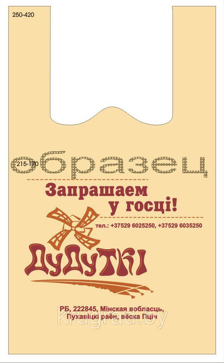 Пакет с логотипом, 420х510 мм, 1+0 - фото 2 - id-p73780296