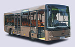 Современные автобусы МАЗ (доступный модельный ряд)