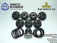 Комплект клапанов для насоса Annovi Reverberi AR2374, cod.750620, cod.759054