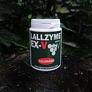 Фермент Lallzyme EX-V (5 г) Развитие красных вин на 250-500 литров, фото 2