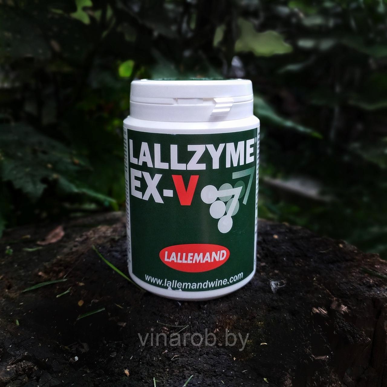 Фермент Lallzyme EX-V (5 г) Развитие красных вин на 250-500 литров - фото 3 - id-p130565204