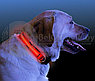 Светящийся ошейник для собак (3 режима) Glowing Dog Collar Красный, фото 10