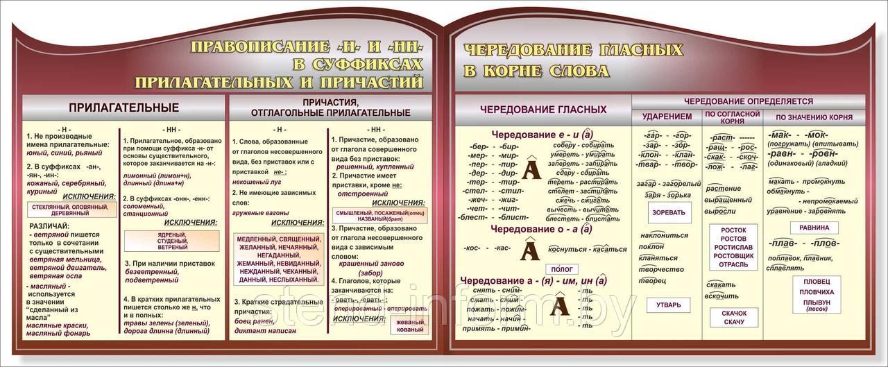 СТЕНДЫ по РУССКОМУ ЯЗЫКУ р-р 110*75 см, на пластике фигурные