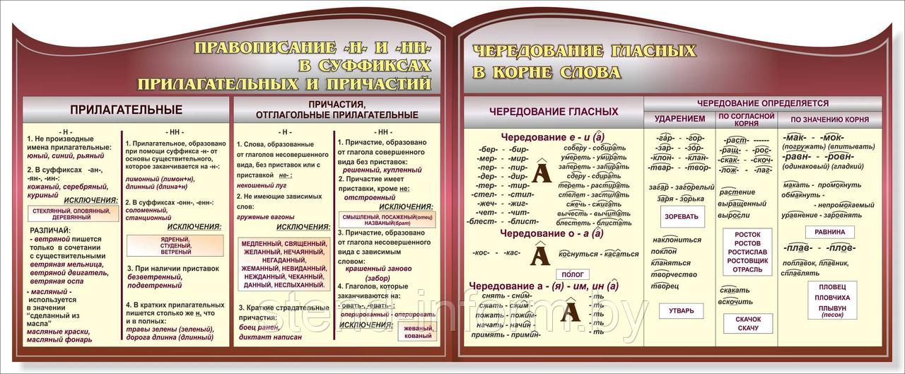 СТЕНДЫ по  РУССКОМУ ЯЗЫКУ р-р 110*75 см, на пластике фигурные