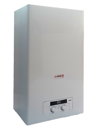 Газовый котёл Protherm Lynx 24 Рысь, фото 2