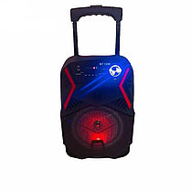 Акустическая система BT-1808 Bluetooth, фото 2