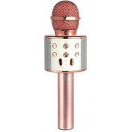 MA3001RGD Микрофон Belsis