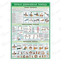 Плакат Первая медицинская помощь (2)