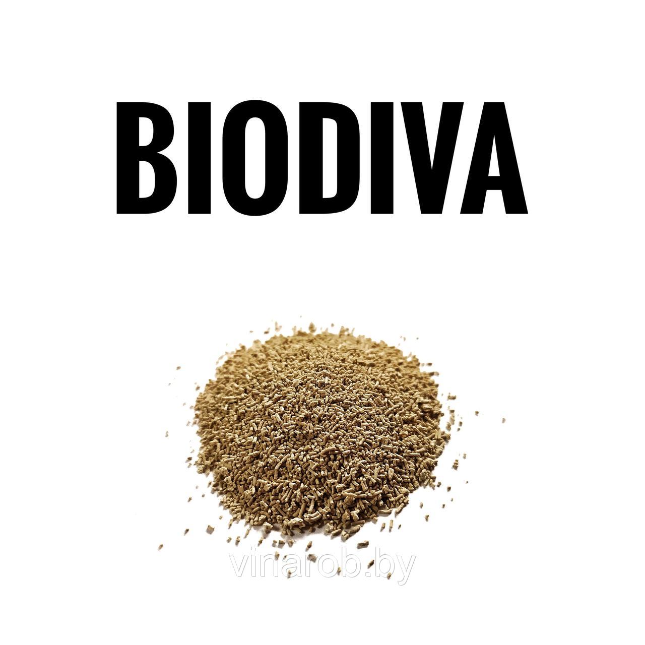 Сухие активные дрожжи LEVEL2 BIODIVA, "дикие дрожжи" (20 г | 50-100 л) - фото 1 - id-p130861558