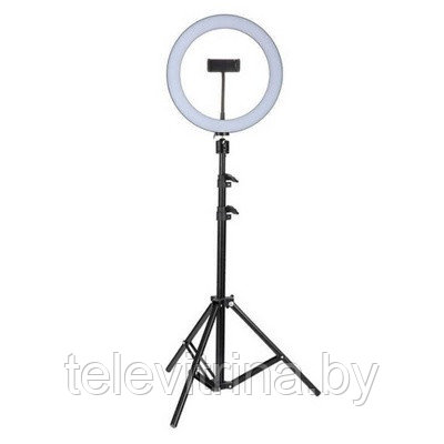 Кольцевая светодиодная лампа 36 см со штативом Ring Fill Light ( арт. 9-7525 ) - фото 1 - id-p130918717