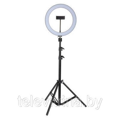 Кольцевая светодиодная селфи лампа со штативом для профессиональной съемки Ring Fill Light ( арт. 8-106734 ) - фото 1 - id-p130918720