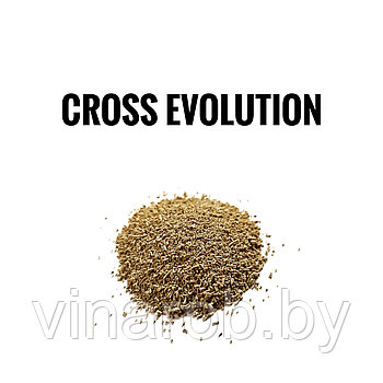 Сухие активные дрожжи Cross Evolution (20 г | 50-100 л)