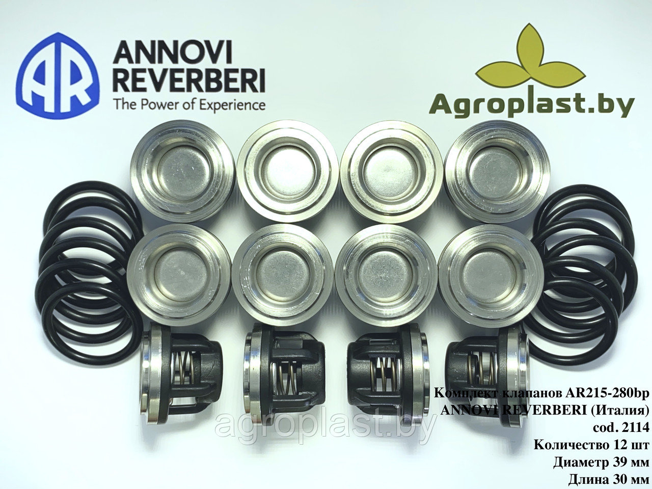 Комплект клапанов для насоса Annovi Reverberi AR 2114