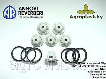 Комплект клапанов для насоса Annovi Reverberi AR 42524
