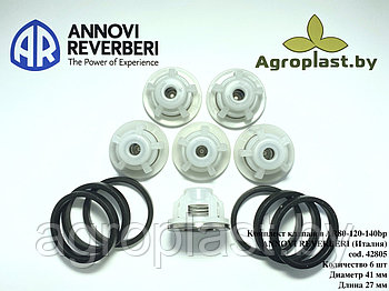 Комплект клапанов для насоса Annovi Reverberi AR 42805