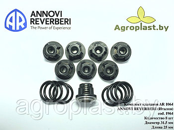 Комплект клапанов для насоса Annovi Reverberi AR 1964