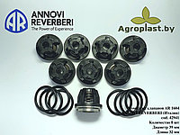 Комплект клапанов для насоса Annovi Reverberi AR 42941