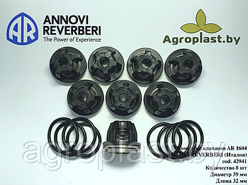 Комплект клапанов для насоса Annovi Reverberi AR 42941
